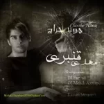 دانلود آهنگ مهدی قنبری تنهایی