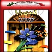 دانلود آهنگ جمشید نجفی مجنون