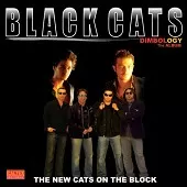 دانلود آهنگ گروه بلک کتس برو