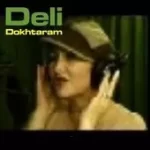 دانلود آهنگ دلی شب (بی کلام)