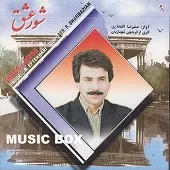 دانلود آهنگ علیرضا افتخاری شور عاشقانه دانلود آهنگ علیرضا افتخاری شور عاشقانه