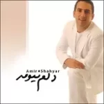 دانلود آهنگ امیر شهیار دلم نیومد دانلود آهنگ امیر شهیار دلم نیومد