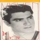 دانلود آهنگ ویگن در بسته دانلود آهنگ ویگن در بسته