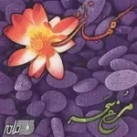 دانلود آهنگ نادر گلچین مرغ سحر دانلود آهنگ نادر گلچین مرغ سحر