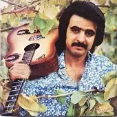 دانلود آهنگ فریدون فروغی تنگنا