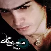 دانلود آهنگ محسن یگانه گلایه کرکس ها دانلود آهنگ محسن یگانه گلایه کرکس ها