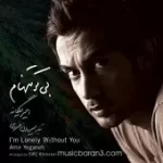 دانلود آهنگ امیر یگانه می خوام برم