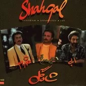 دانلود آهنگ شهرام صولتی زبانم را نمی فهمی