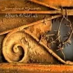 دانلود آهنگ جمشید شریفی من نه