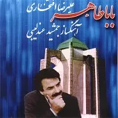 دانلود آهنگ علیرضا افتخاری آواز مرغان وحشی