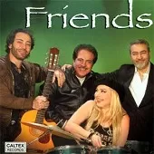 دانلود آهنگ ستار دل دیوونه (شیلا)  آلبوم دوستان (