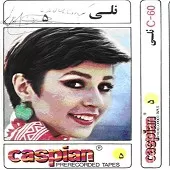 دانلود آهنگ  نارنج و ترنج  آلبوم { به همراه متن و پخش آنلاین }