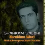 دانلود آهنگ شهرام صالحی الهی در به در بشی دانلود آهنگ شهرام صالحی الهی در به در بشی