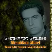 دانلود آهنگ شهرام صالحی الهی در به در بشی دانلود آهنگ شهرام صالحی الهی در به در بشی