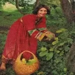 دانلود آهنگ نسرين تسبیح