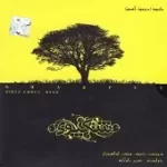 دانلود آهنگ حسین زاولانه عاشقانه