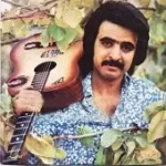 دانلود آهنگ فریدون فروغی آدمک