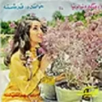 دانلود آهنگ  پرستو + متن و کیفیت عالی دانلود آهنگ  پرستو + متن و کیفیت عالی