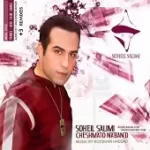 دانلود آهنگ سهیل سلیمی بمون پیشم ( بی کلام )