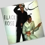 دانلود آهنگ گروه Black Rose تونل وحشت دانلود آهنگ گروه Black Rose تونل وحشت