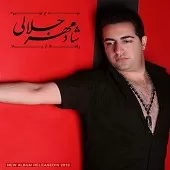 دانلود آهنگ شادمهر جلالی شقایق دانلود آهنگ شادمهر جلالی شقایق