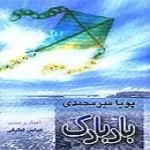 دانلود آهنگ پویا میرمحمدی یکی بود