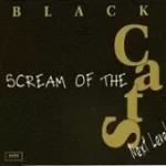 دانلود آهنگ گروه بلک کتس لیلا دانلود آهنگ گروه بلک کتس لیلا