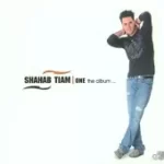 دانلود آهنگ شهاب تیام دیگه رفته