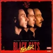 دانلود آهنگ شهبال شب پره B.C.Fever دانلود آهنگ شهبال شب پره B.C.Fever