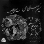 دانلود آهنگ شهرام ناظری تصنیف دانلود آهنگ شهرام ناظری تصنیف