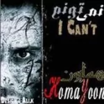 دانلود آهنگ همایون دیگه دیره