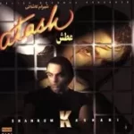 دانلود آهنگ شهرام کاشانی بیوفا