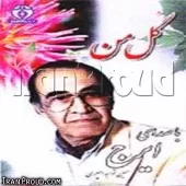 دانلود آهنگ ایرج جامه رویایی