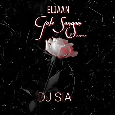 دانلود آهنگ مثل بارون اگه نباری هایده و مهستی