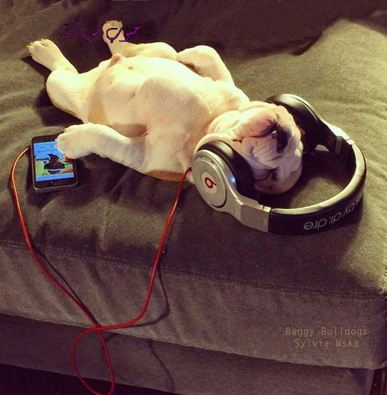 دانلود آهنگ آلما آتانا قوربان آتیب توتانا قوربان ریمیکس اصلی ترکی دانلود آهنگ آلما آتانا قوربان آتیب توتانا قوربان ریمیکس اصلی ترکی