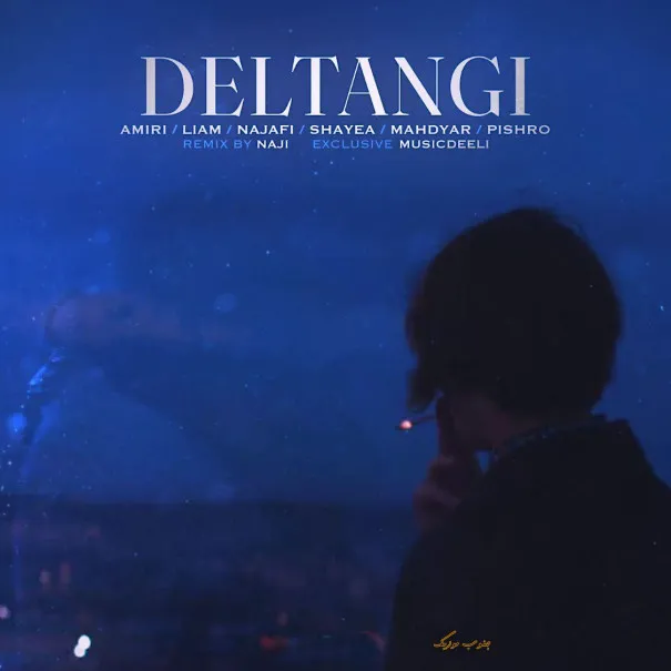 دانلود ریمیکس رپ دلتنگی از شاهین نجفی و امیر لیام و رضا پیشرو و محمد امیری و شایع و مهدیار